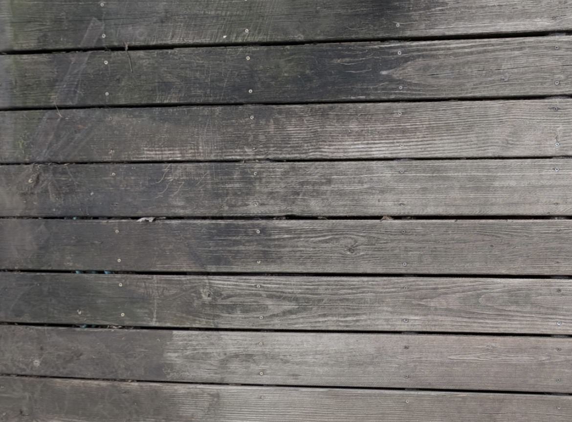 Close-up of weathered deck boards: silver-grey surface, dark mildew staining along one edge, exposed screw heads